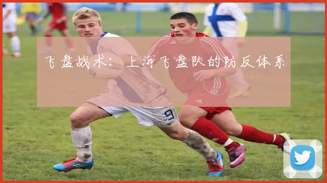 飞盘战术：上海飞盘队的防反体系