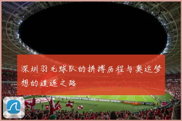 深圳羽毛球队的拼搏历程与奥运梦想的追逐之路