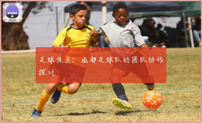 足球焦点：成都足球队的团队协作探讨