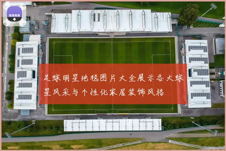 足球明星地毯图片大全展示各大球星风采与个性化家居装饰风格